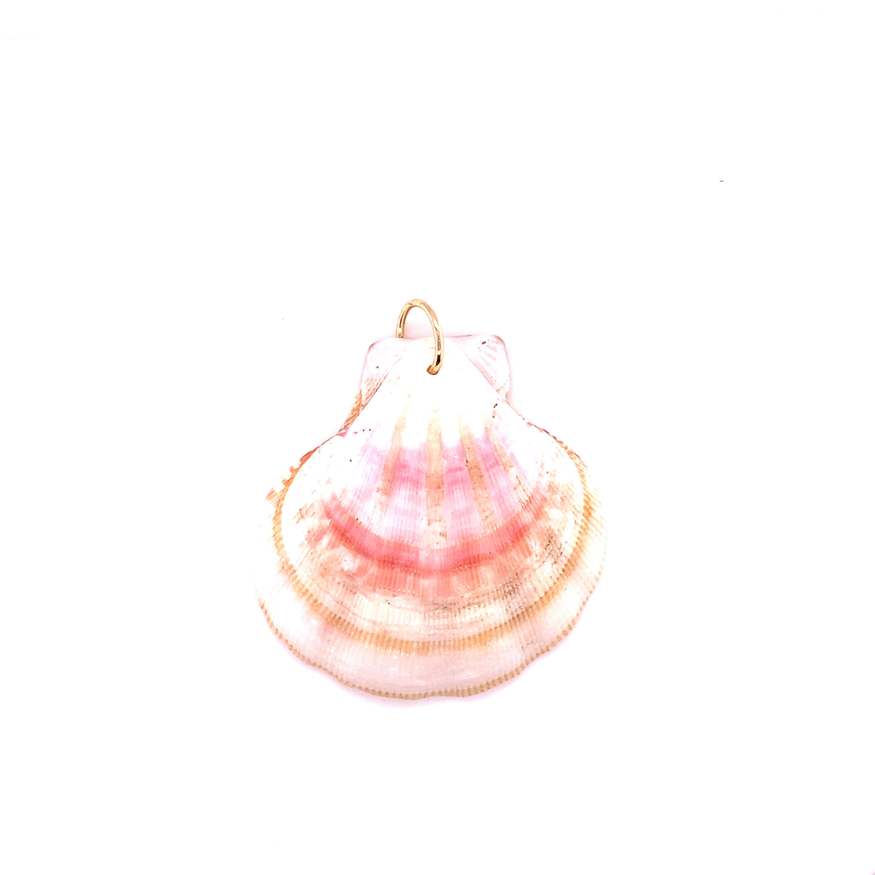 Shell Charm with Jump Ring