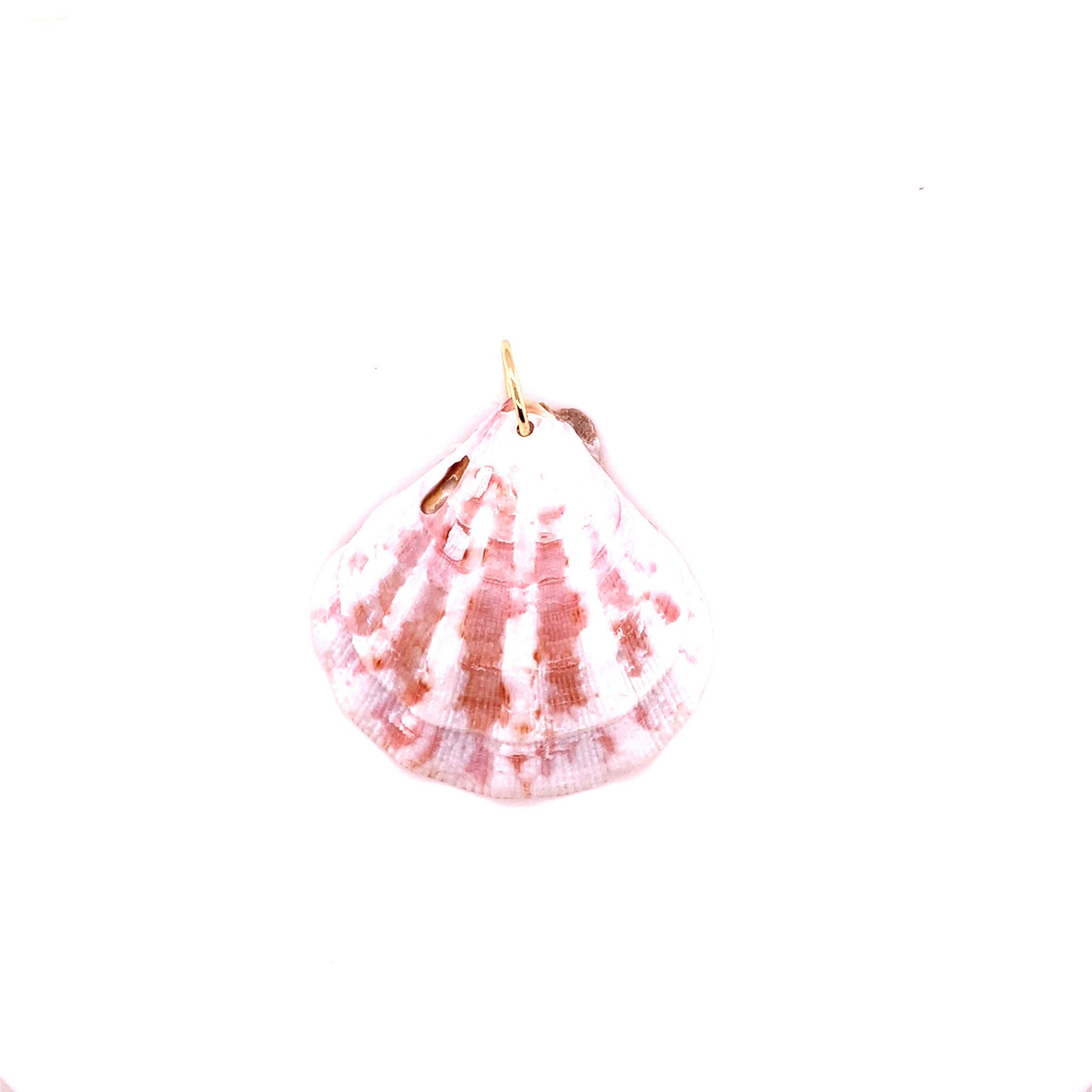 Dark Shell Charm with Jump Ring