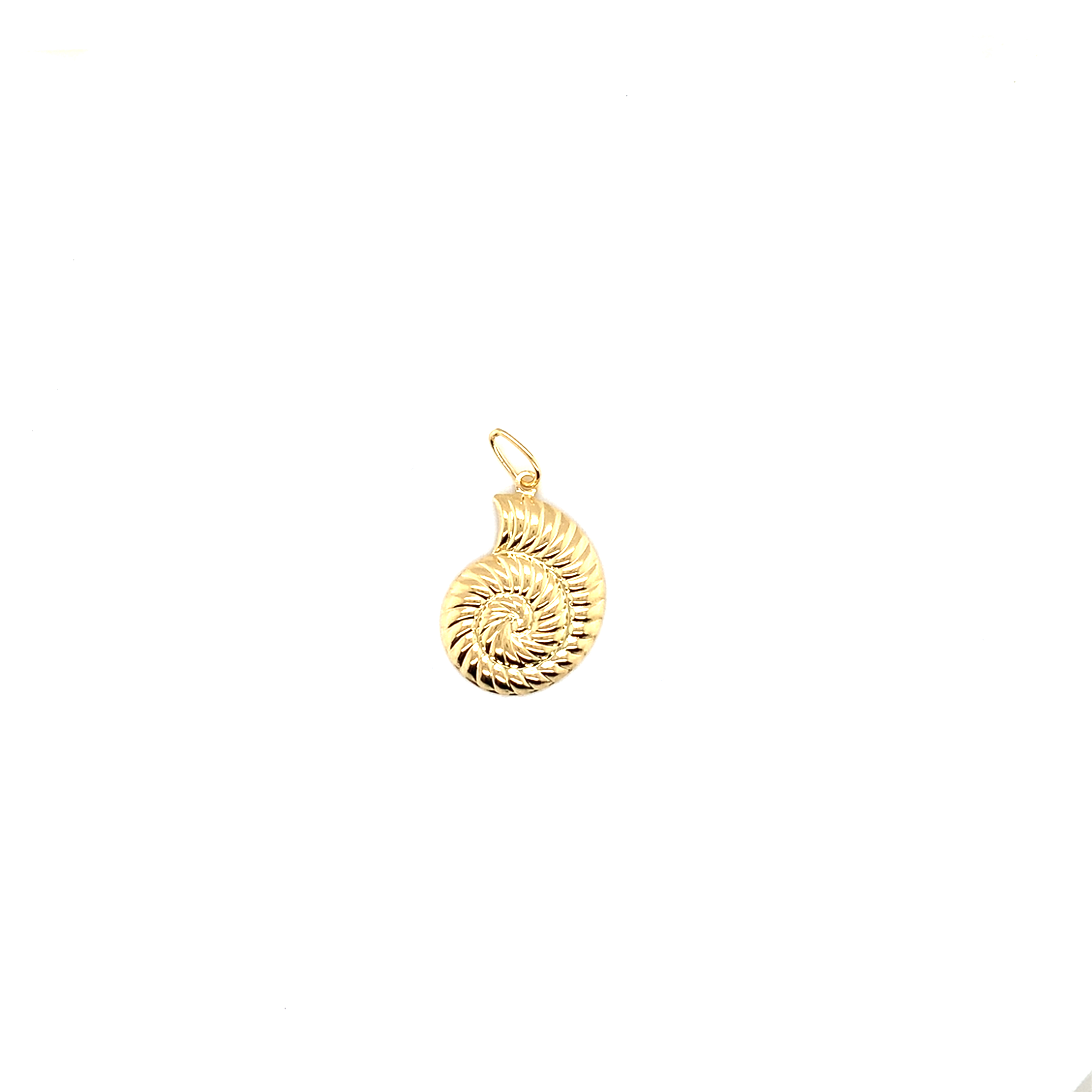 Hollow Shell Pendant - Gold Filled