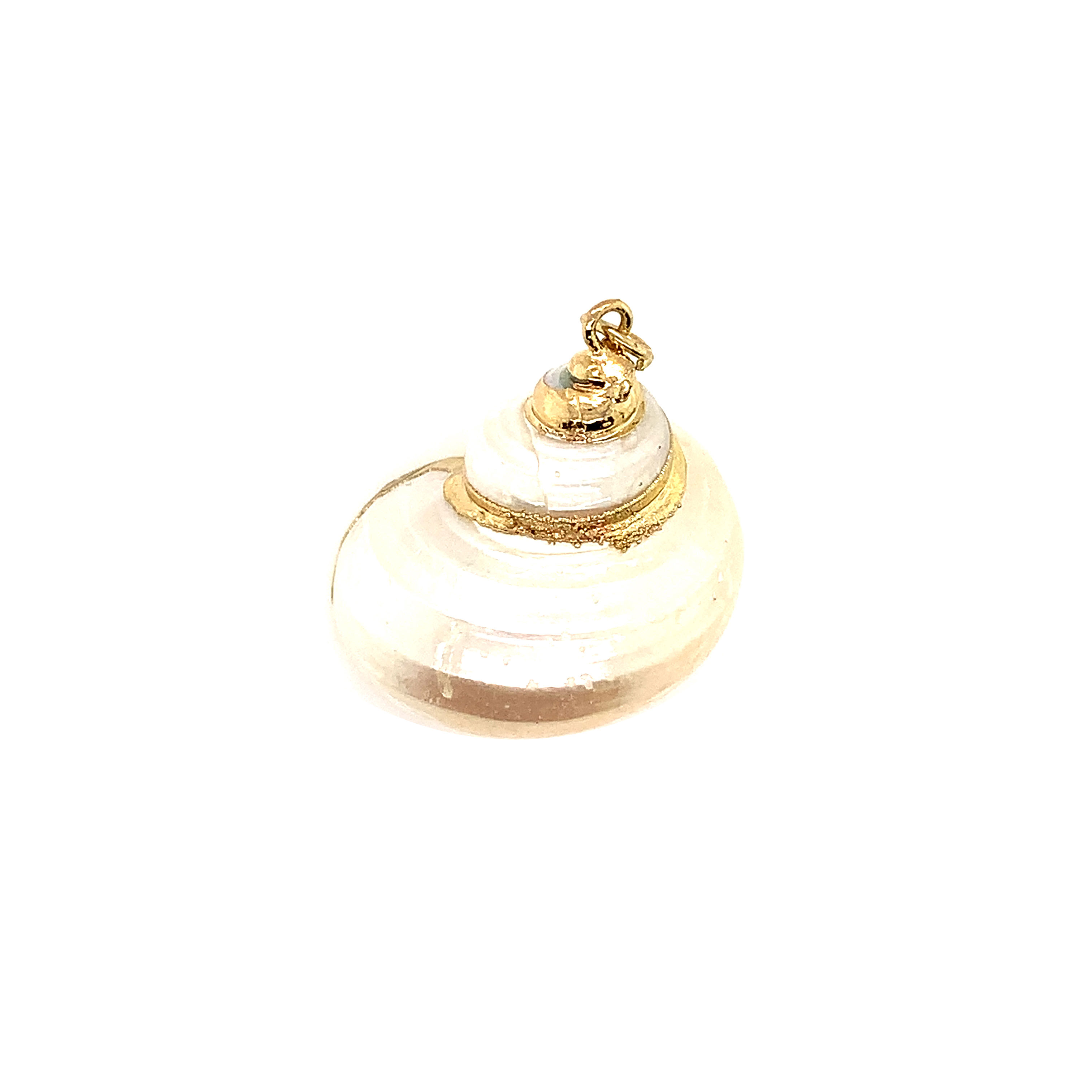 Seashell Pendant - Gold Plated