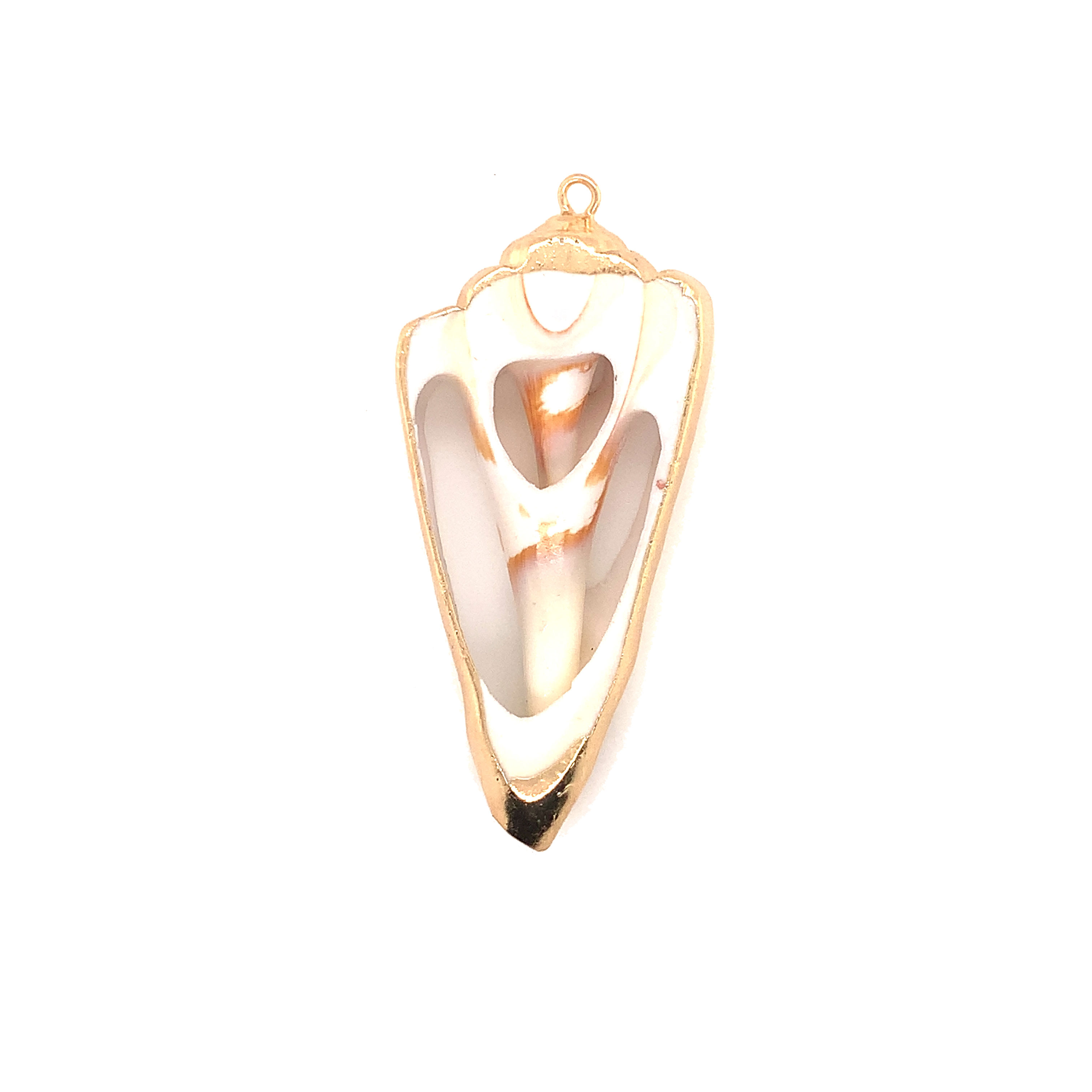 Sliced Shell With Brass - Gold Plated