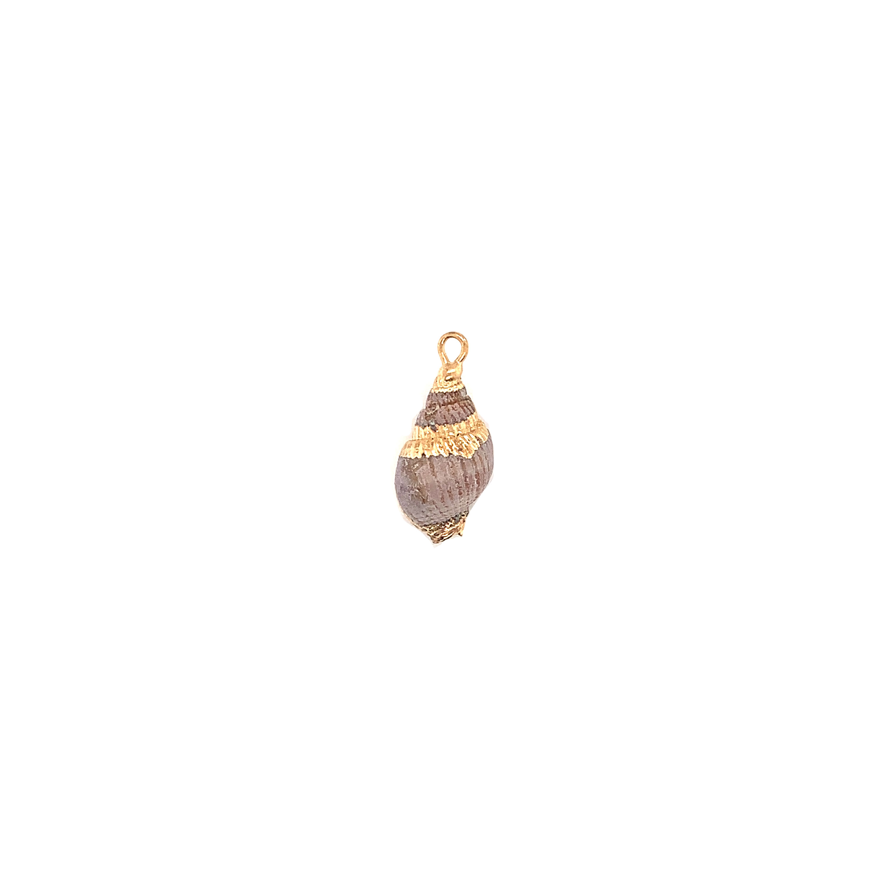 Mini Shell with Brass - Gold Plated